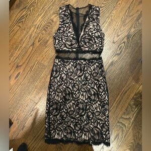 Nicole miller lace and sheer dress